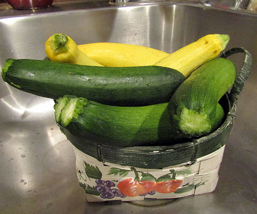 SQUASH THE SUMMER HEAT SbS Gardening